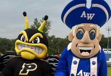 mascots