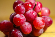 closeup of a bunch of red grapes